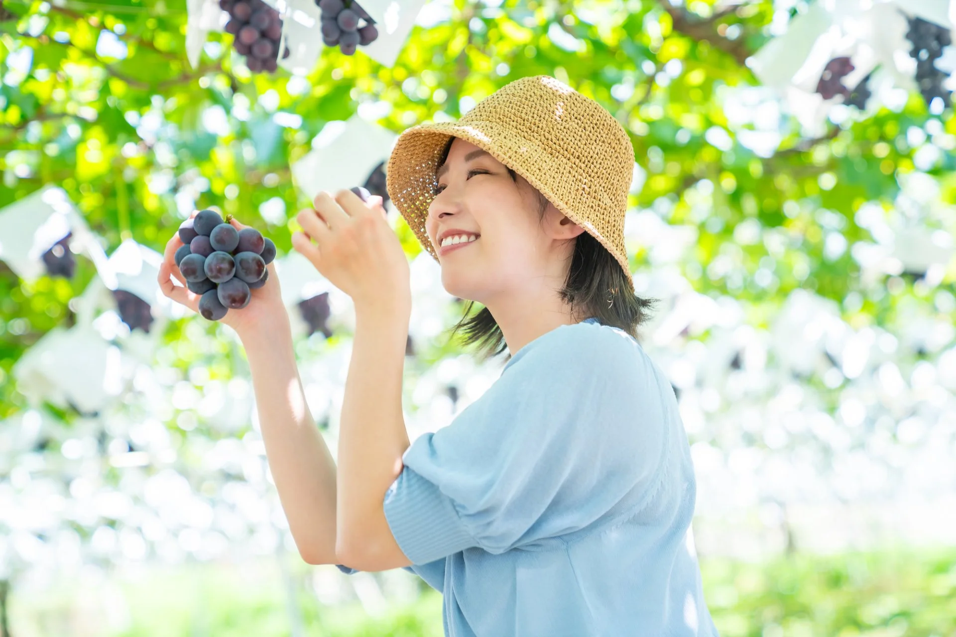 ぶどう棚の下で房を選ぶ家族の手元